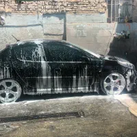 استخدام نیرو کارواش