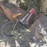 دوچرخه قدیمی عکس چک کنید