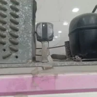 فروش یخچال ویترین دو در لبنیات