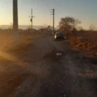 باغ ۶ساله و بازده