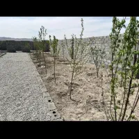 باغچه ۲۲۰ متری/ چهاردیواری/ با انشعابات جلوی ملک|فروش زمین و ملک کلنگی|اسلامشهر, شهرک احمدیه|دیوار