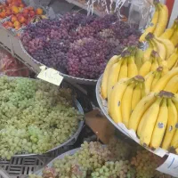 نیازمند 1نفرکارگرجهت مغازه میوه فروشی،محدوده الهیه|استخدام خدمات فروشگاه و رستوران|کرمانشاه, |دیوار