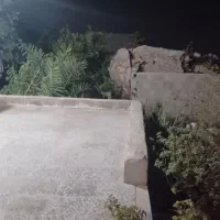 طلای گمشده در بوشهر