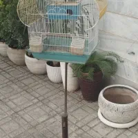 قفس با پایه