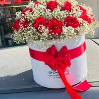 گل روبانی