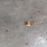 یک لنگه گوشواره بچگانه گمشده