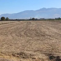 فروش زمین کشاورزی|فروش دفتر صنعتی، کشاورزی، تجاری|شیروان (لرستان), |دیوار