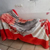 هندا 94پلاک ملی کارت و پلاک وبرگه کنپانی|موتورسیکلت|شیراز, کوشک میدان|دیوار
