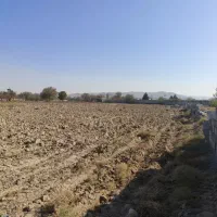 فروش-زمین-زراعی-26000-متر-در-خسروشاه