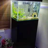 آکواریوم بهمراه لوازم کامل