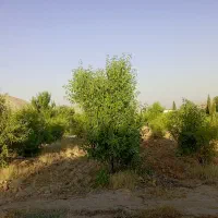 فروش باغ شهری