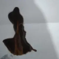 فال تضمینی قهوه، استخاره قرآن، پاسور|خدمات پذیرایی، مراسم|آبادان, |دیوار