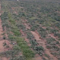 ۲۱۶۰ متر صنعتی،جاده تهران