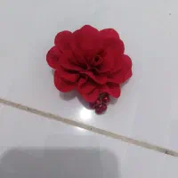 انگشتر،گردنبند، پنس