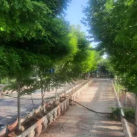 اجاره سوئیت خانه باغ