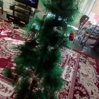 درختچه ی کریسمس|گل مصنوعی|شیراز, شهرک امیر کبیر|دیوار