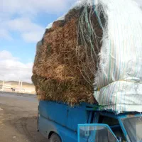 علوفه مخلوط با یونجه