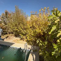 باغ ویلا ۶۰۰ متری با کنتور اختصاصی|فروش خانه و ویلا|آبسرد, |دیوار