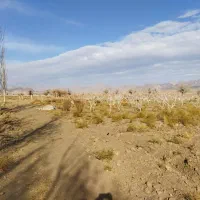 زمین در منطقه بهارستان صنوبر|فروش زمین و ملک کلنگی|تربتحیدریه, بالا ولایت|دیوار