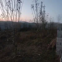 فروش زمین مسکونی مناسب ویلا سازی|فروش زمین و ملک کلنگی|چاف و چمخاله, |دیوار