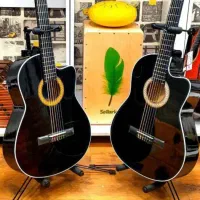 فروش انواع گیتار مستقیم از دهدشت