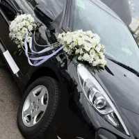 ۲۰۷پانامرا ارتقا یافته  (۱۴۰۲)خوش قدم