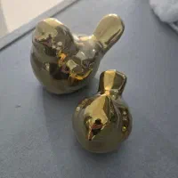 دکتری سرامیکی پرنده