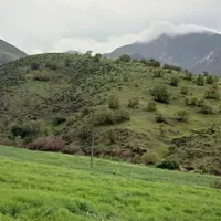 طبیعت گردی