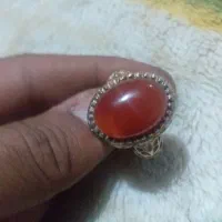جفت کلکسیونی یمنی|کلکسیون سکه، تمبر، اسکناس|خاش, |دیوار