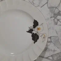 ادست پلوخوری چینی زرین