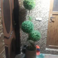 درختچه مصنوعی با گلدان حصیری|گل مصنوعی|آمل, |دیوار