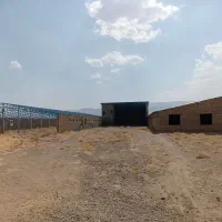 فروش مرغداری ۲۰هزاری|فروش دفتر صنعتی، کشاورزی، تجاری|شیروان (لرستان), |دیوار