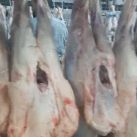 شاگرد قصابی