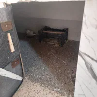 دو‌جفت کبوتر بلژیکی اصیل|پرنده|میانه, |دیوار