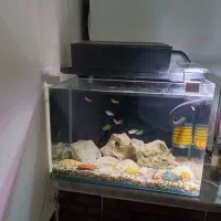 فروش اکواریوم