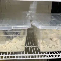 پنیر|خوردنی و آشامیدنی|ارومیه, |دیوار