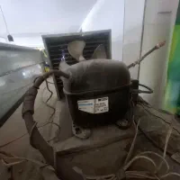 یخچال ۳درب|فروشگاه و مغازه|شیراز, باغ تخت|دیوار