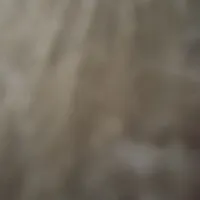 فروش یا تعویض موکت