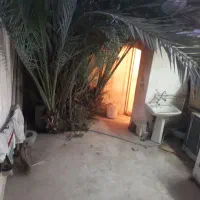 خانه دربست کوچه روشن و یک راه خیابان شریعتی۵۵متری|اجارهٔ خانه و ویلا|کاشان, گبرها|دیوار