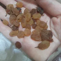 کشمش وشیره انگورکشمشی|خوردنی و آشامیدنی|مشهد, بهمن|دیوار