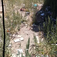 زمین چشمه خانی|فروش زمین و ملک کلنگی|نورآباد, |دیوار