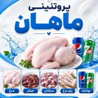 شاگرد نیمه ماهر مرغ فروشی رامیان