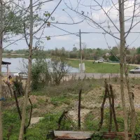 زمین ماده 4 250 متر فروش فوری|فروش زمین و ملک کلنگی|ماکلوان, |دیوار