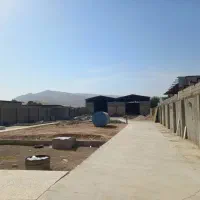 200مترزمین-پروانه-دارکاج