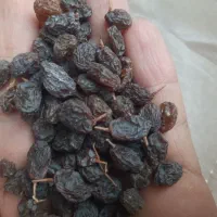 کشمش آفتابی درشت