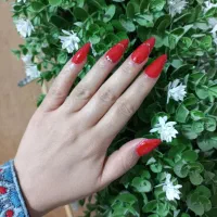 کاشت ناخن|خدمات آرایشگری و زیبایی|زهک, |دیوار