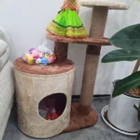 اسکرچر گربه