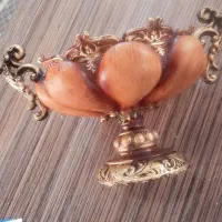 میوه خوری پولیستر شهرکرد