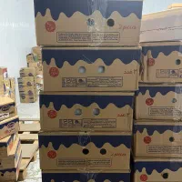 پخش کترینگ‌دومینو‌و‌میهن