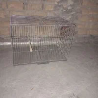 قفس قناری برای جفت